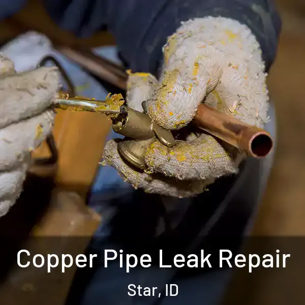  Copper Pipe Leak Repair Star, ID