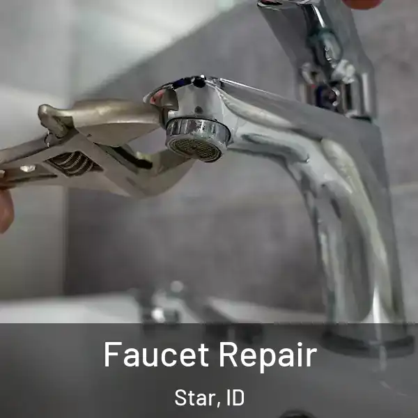  Faucet Repair Star, ID
