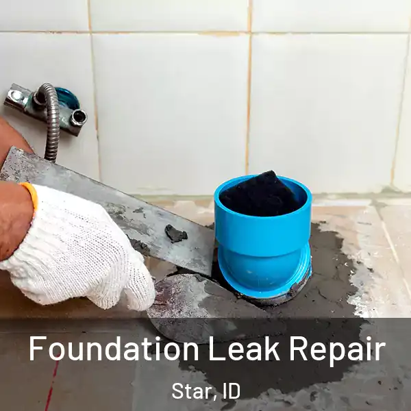  Foundation Leak Repair Star, ID