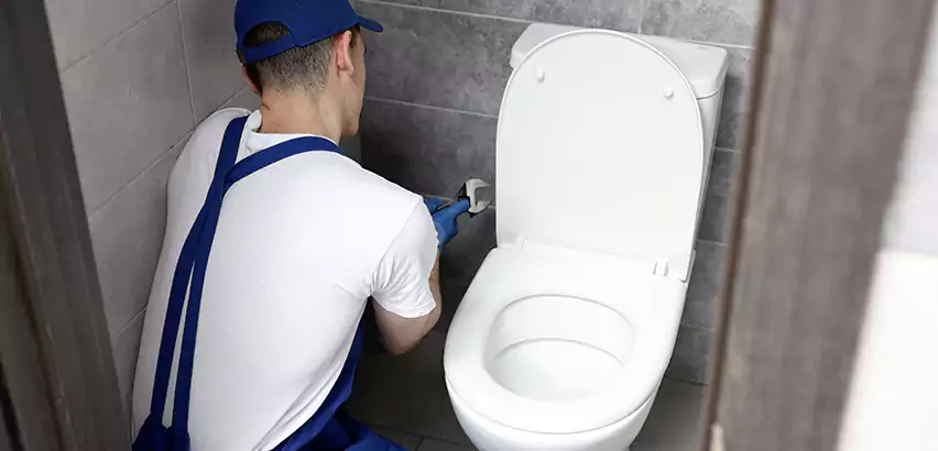 Toilet Lid Replacement in Star