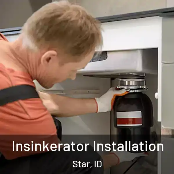  Insinkerator Installation Star, ID