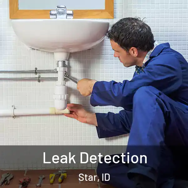  Leak Detection Star, ID