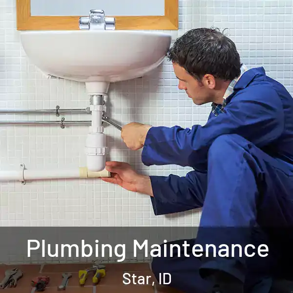  Plumbing Maintenance Star, ID