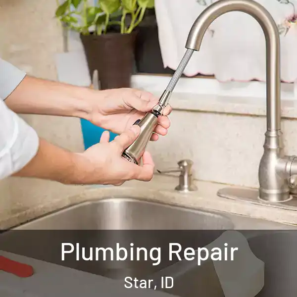  Plumbing Repair Star, ID
