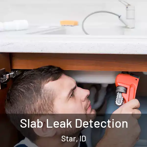  Slab Leak Detection Star, ID