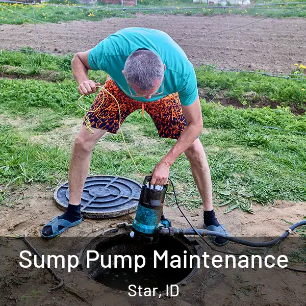 Sump Pump Maintenance Star, ID
