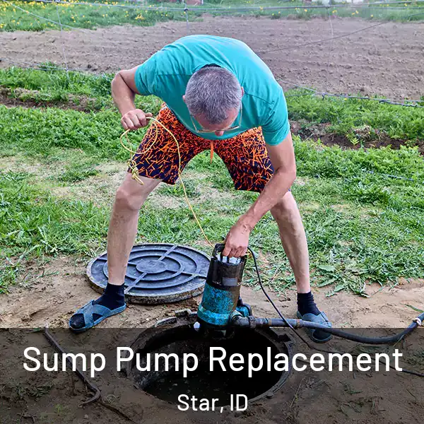  Sump Pump Replacement Star, ID