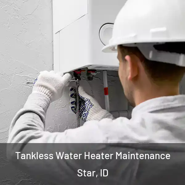  Tankless Water Heater Maintenance Star, ID