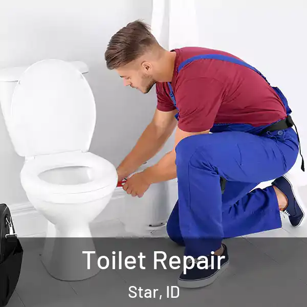  Toilet Repair Star, ID