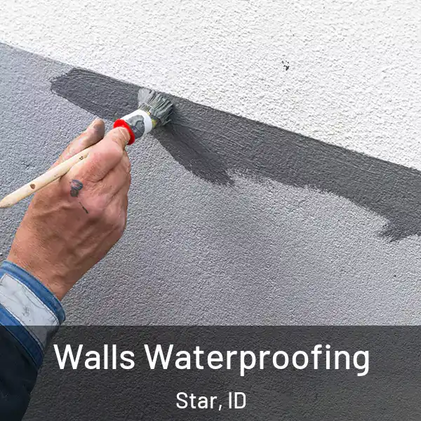  Walls Waterproofing Star, ID