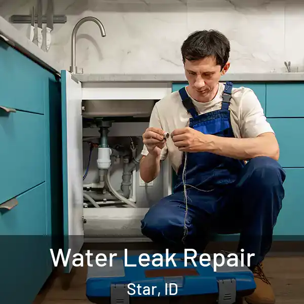  Water Leak Repair Star, ID